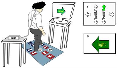 Cognitive and Motor Cortical Activity During Cognitively Demanding Stepping Tasks in Older People at Low and High Risk of Falling